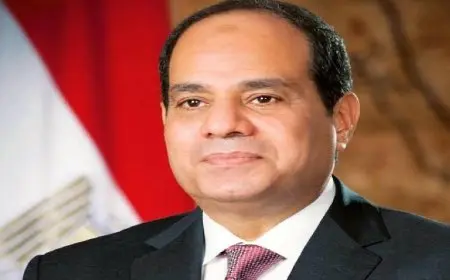 الرئيس السيسي يحتفل بالعيد القومي ويوم الاستقلال لسنغافورة والإكوادور