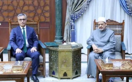 زيادة المنح الدراسية وتدريب الأئمة أبناء الجزائر في تصعيد من شيخ الأزهر