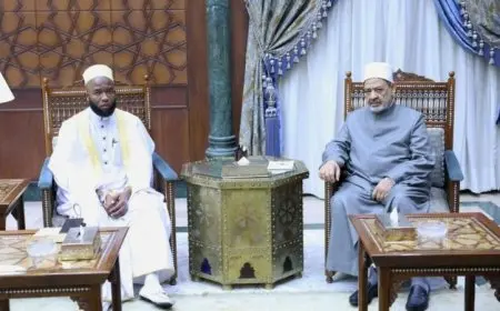 شيخ الأزهر يلتقي بمفتي بوروندي لتعزيز التعاون العلمي والدعوي والتدريبي