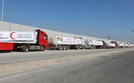 الهلال الأحمر المصري يرسل 2300 طن من المساعدات الإغاثية العاجلة إلى غزة