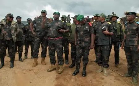 جيش الكونغو يوجه نداءً للجماعات المسلحة في إقليم إيتوري للتخلي عن السلاح