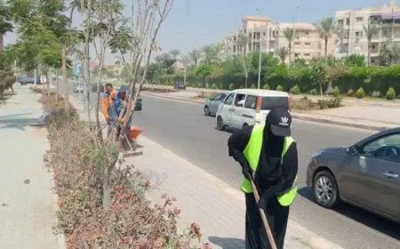 إيقاف العمل الميداني لعمال النظافة خلال الذروة لحماية صحتهم وفقاً لوزارة التنمية المحلية
