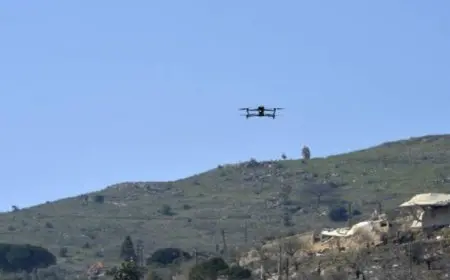 مظاهرة إسرائيلية تستخدم قنبلة صوتية ضد جرافة في حي كروم المراح بجنوب لبنان