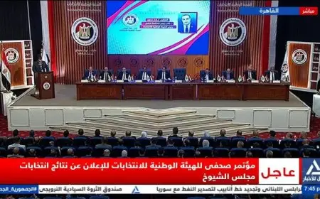 المؤتمر الصحفي للهيئة الوطنية للانتخابات يكشف نتائج انتخابات مجلس الشيوخ