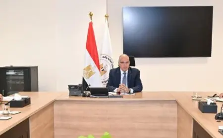 يونس يراقب تطورات المشروعات التنموية في سيناء والدلتا الجديدة وسيوة