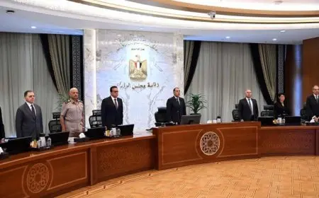 أعضاء مجلس الوزراء يحيون دقيقة صمت تكريماً للدكتور علي المصيلحي