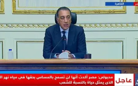 مدبولي يؤكد أن الرئيس السيسي شدد على حق مصر في مياه النيل