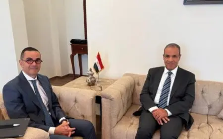 لقاء حاسم بين وزير الخارجية والهجرة ووزير الاستثمار والتجارة الخارجية لتعزيز التعاون الاقتصادي