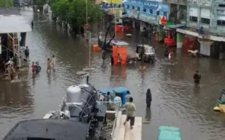 مصرع 25 شخصا نتيجة الفيضانات والانهيارات الأرضية في شمال باكستان