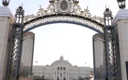 افتتاح باب التسجيل الإلكتروني للالتحاق بجامعة القاهرة الأهلية لعام 2025-2026 اليوم