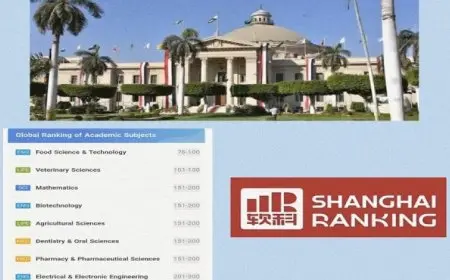 جامعة القاهرة تتربع على عرش الجامعات المصرية في تصنيف شنغهاي 2025