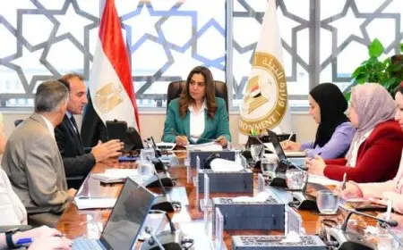 منال عوض تناقش مع برنامج الأمم المتحدة نجاحات التعاون في المشاريع المشتركة