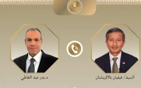 وزير الخارجية يؤكد ضرورة تعزيز التعاون بين مصر وسنغافورة لتحقيق التنمية المشتركة