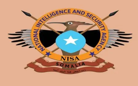 مقتل 11 إرهابيا في عملية أمنية ناجحة للمخابرات الصومالية بالتعاون مع الشركاء الدوليين