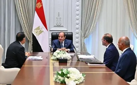 الرئيس السيسي يسلط الضوء على أهمية تعزيز الانضباط المالي في الحكومة واستمرار الجهود لتحقيق ذلك