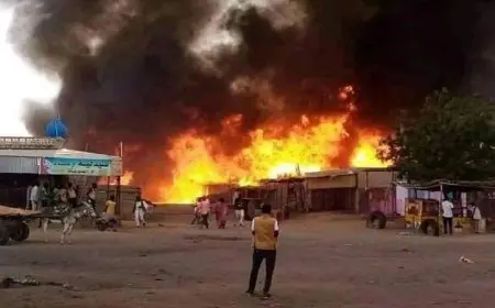 مجزرة في الفاشر السودانية 17 قتيلا نتيجة قصف قوات الدعم السريع