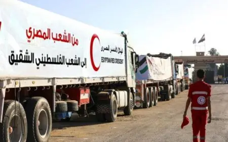 الهلال الأحمر المصري يطلق القافلة السادسة عشر “زاد العزة” محملة بـ 2400 طن من المساعدات الغذائية