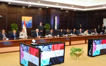 وزير الخارجية يعزز جهود مصر للتوصل إلى وقف إطلاق النار في غزة