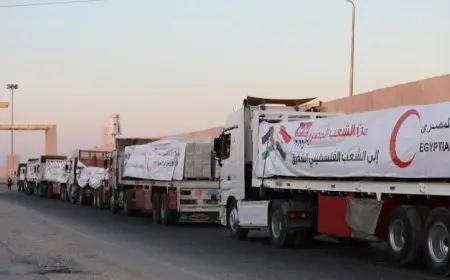 قافلة المساعدات الإنسانية السابعة عشر تصل إلى قطاع غزة لتلبية احتياجات الفلسطينيين