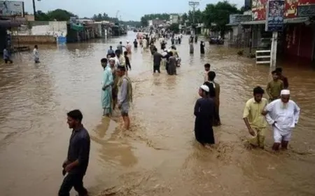 حصيلة كارثة الأمطار الموسمية والفيضانات في باكستان تتخطى 650 قتيلا