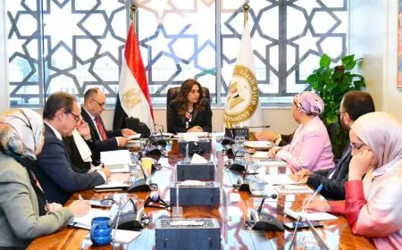 وزيرة التنمية تستعد لمشاركة مصر في قمة المناخ COP30 من خلال اجتماع تحضيري هام