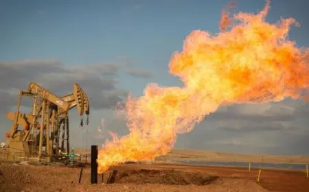 اكتشاف حقل ضخم للغاز الصخري العميق في جنوب غرب الصين