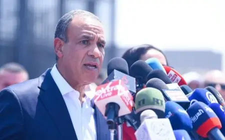 عبدالعاطي يؤكد استمرار مصر في جهودها المتعددة منذ بدء العدوان على غزة