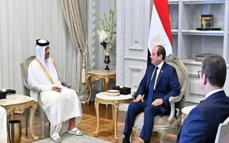 الرئيس السيسي يشدد على أهمية البدء الفوري في إعادة إعمار غزة بعد اتفاق وقف إطلاق النار