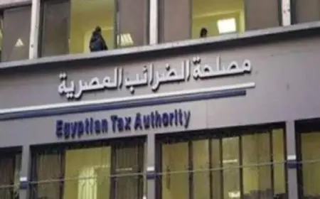 الهيئة العامة للضرائب تكشف عن إنفوجراف مميز لشرح الإيصال الإلكتروني