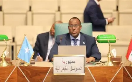 سفير الصومال في القاهرة يسلط الضوء على أهمية متابعة أحدث التطورات في صناعة الإعلام