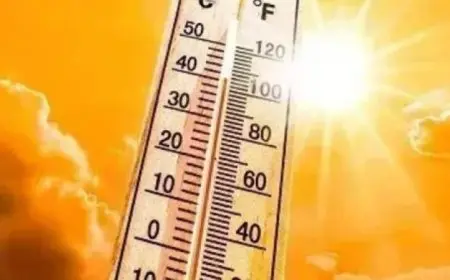 الأرصاد تكشف تفاصيل الطقس غدا حرارة ورطوبة نهارا ومائل للرطوبة ليلا مع عظمى 35 في القاهرة