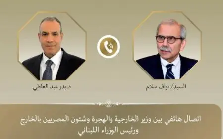 وزير الخارجية المصري يشدد على أهمية أمن واستقرار لبنان في السياسة المصرية
