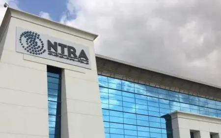 القومي للاتصالات يعلن عن فصل الهواتف المستخدمة في المكالمات الترويجية المزعجة لتحسين تجربة المستخدمين