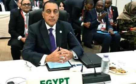رئيس الوزراء يبرز دور مصر في جلسة السلم والاستقرار خلال مؤتمر طوكيو تيكاد 9
