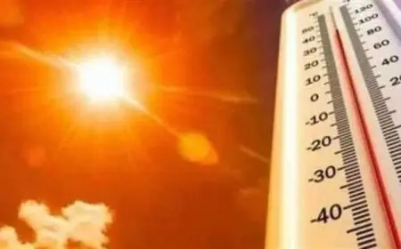 حالة الطقس غدا في القاهرة حرارة مرتفعة نهارا واعتدال ليلا مع عظمى تصل إلى 35 درجة