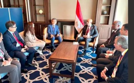 وزير التعليم يلتقي رئيس جامعة هيروشيما لاستكشاف فرص التعاون في التعليم الفني