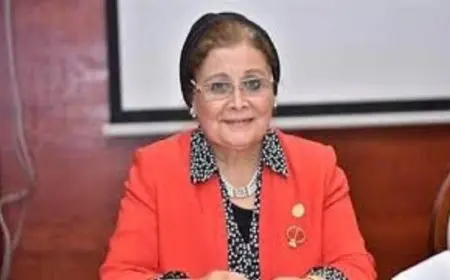 نائب وزير الصحة يكشف عن انخفاض معدل الإنجاب الكلي في القاهرة إلى 2.05% بحلول عام 2024