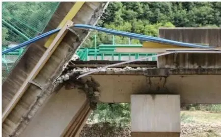 وفاة 16 شخصا وإصابة آخرين في حادث مروع بموقع بناء جسر في الصين