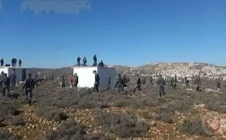 مستوطنون يطلقون بؤرة استعمارية جديدة في عطارة شمال غرب رام الله