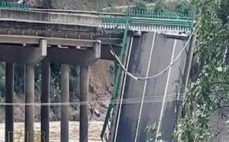 ارتفاع عدد ضحايا حادث انهيار جسر في شمال غرب الصين إلى 12 قتيلا