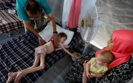 مفوضة الشئون الإنسانية بالاتحاد الأوروبي تحذر من مجاعة مأساوية تحول غزة إلى كارثة إنسانية