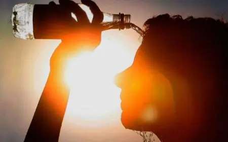 موجة حر قاتلة تودي بحياة أكثر من 1300 شخص في البرتغال