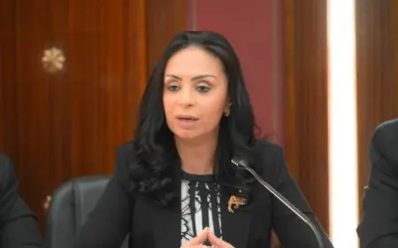 وزيرة التضامن تطالب بتقديم الدعم الفوري للطلاب ضحايا حادث الغرق في الإسكندرية