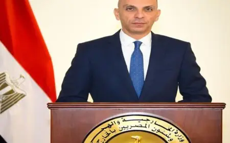 متحدث الخارجية يؤكد أن تراجع دور مصر بالقضية الفلسطينية هو مجرد عبث سياسي