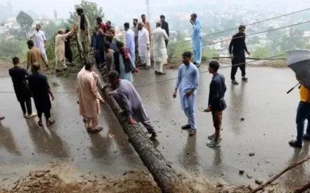 70 قتيلا ومصابا نتيجة الأمطار الغزيرة في مدينة ديرا إسماعيل خان الباكستانية