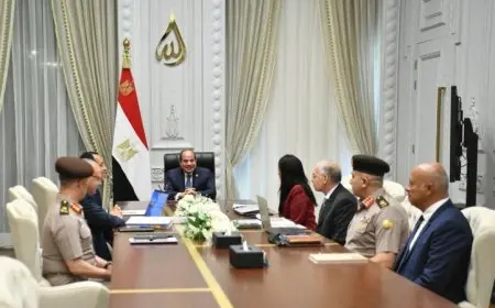 الرئيس السيسي يراقب احتياجات المياه وضمان توفرها لمشاريع الزراعة