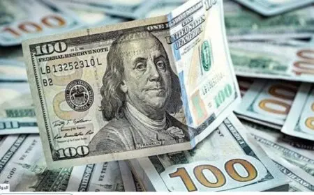 سعر الدولار في مصر اليوم الأحد 24 أغسطس 2025 وتطورات السوق المصرى