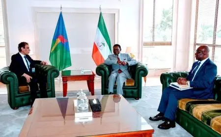 السفير المصري في مالابو يجتمع مع رئيس غينيا الاستوائية لتعزيز العلاقات الثنائية
