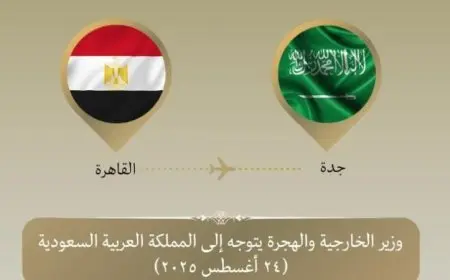 عبد العاطي يزور جدة للمشاركة في اجتماع وزراء خارجية دول التعاون الإسلامي