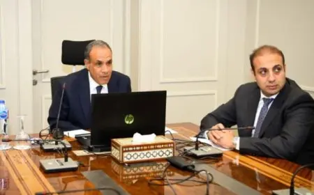 عبد العاطي يشارك في اجتماع اللجنة التنسيقية لتعزيز نفاذ الدواء المصري إلى الأسواق العالمية